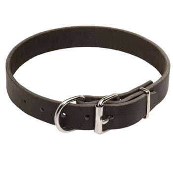 Dog Leather Collar for Dog Training and Walking